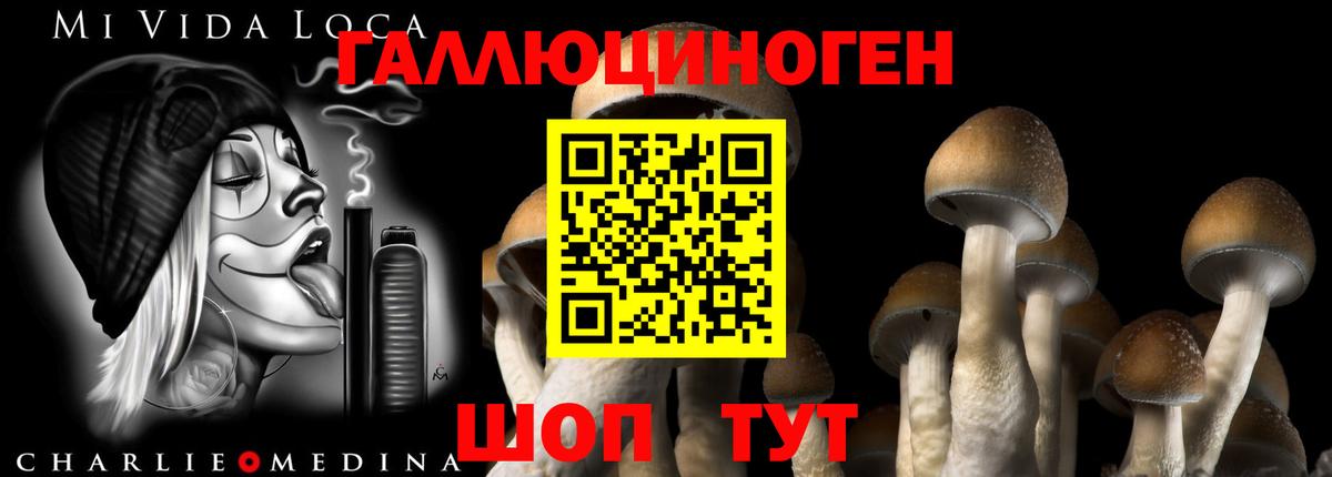 Лянтор  Псилоцибиновые грибы Magic Shrooms  где купить   Вход с VPN  Псилоцибиновые грибы GOLDEN TEACHER 