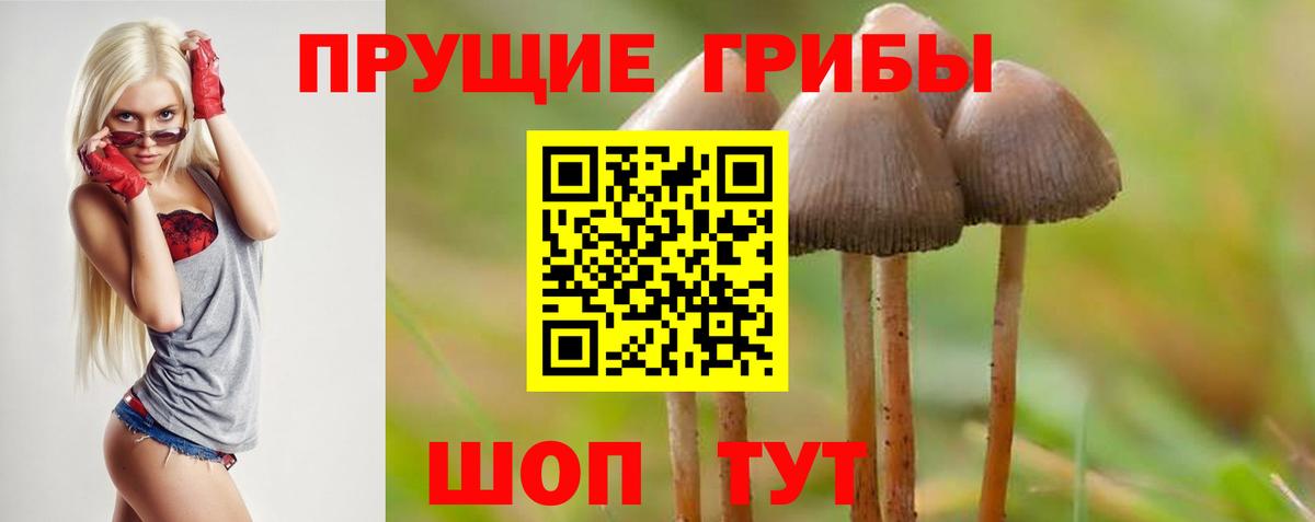 Псилоцибиновые грибы мицелий Лянтор